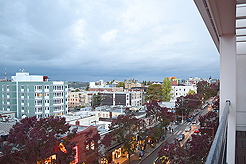 VICTORY FUND - ANTONY GIPE